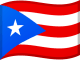Bandiera 202