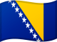 Bandiera 501